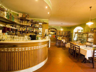 Sicomoro