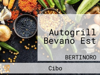 Autogrill Bevano Est