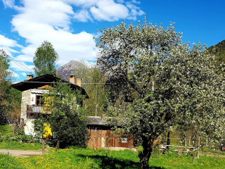 Agripiola Lou Porti
