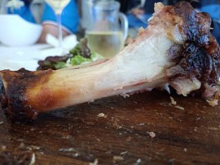 Goldener Adler