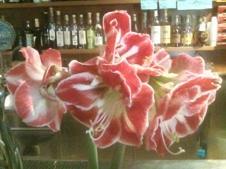 Ristorante Albergo Bar Centro