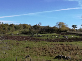 Agriturismo Mastrofrancesco