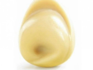 Doria