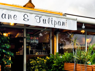 Pane E Tulipani