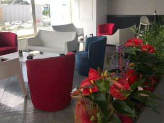 Sette Di Cuori Food Pizza Loungebar