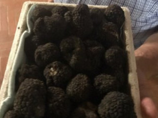 Azienda Agricola Perla