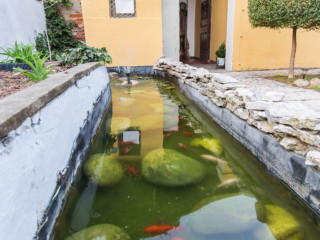 Osteria Al Canton Di Andrea Menin