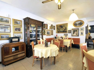 Ai Campi Di Marcello
