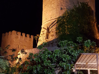 49 Luppoli