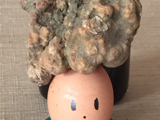 Osteria Del Tir A Sciopp