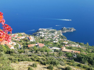 Agriturismo Il Castagno