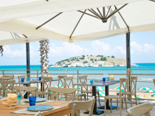 Tortuga