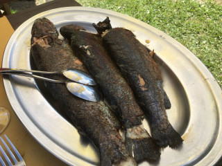 Pesca Sportiva
