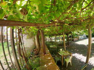 Vigna Del Borgo