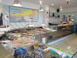 Ittica Del Golfo