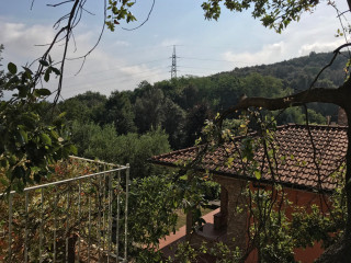Prato Verde
