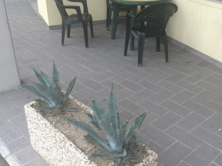 La Spizziosa Di Marchetti Gino C.