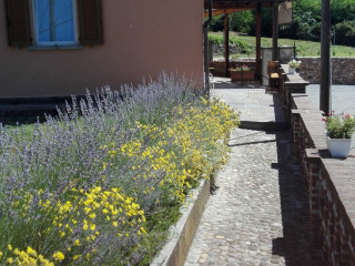 Agriturismo Il Cardellino