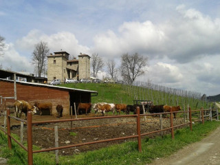 La Torre Dei Cavalieri