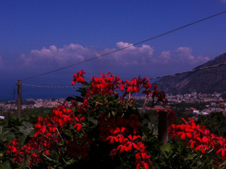 Zio Sam