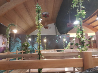 La Foresta Incantata