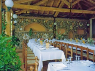 La Mimosa Di Bruno Roberta E Emanuele Palone