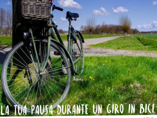 381 Ristoro