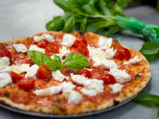 Il Pettirosso