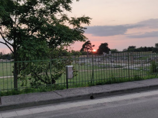 Delle Rose