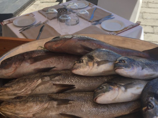 Calamida
