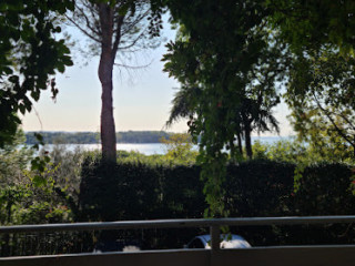 Sole