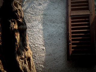 Trattoria Basilio