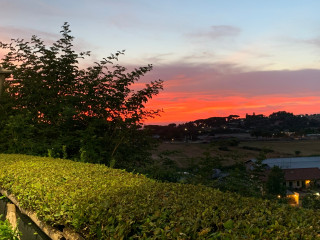 La Locanda Dei Bischeri