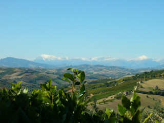 Villa Aniana