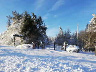 Mille Uno