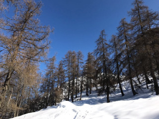 Rifugio Alpino Monza-bogani