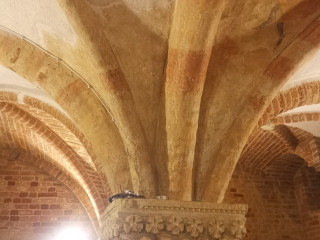 Daij Gepolin
