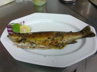 Agrodolce