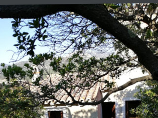 Li Paduleddi