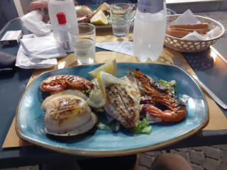 Fish Experience
