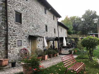 Il Volpino