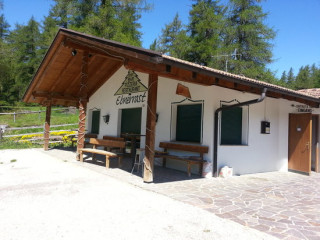 Ebnerrast