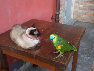 Locanda Dei Vagabondi