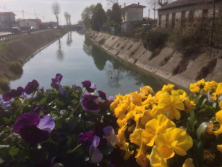 La Romagnola