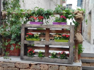 Terra E Sapori
