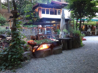 Le Camelie