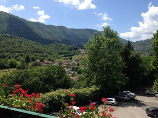 Il Mirto