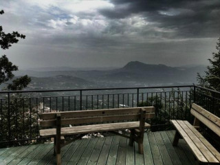 Il Posto Delle Rose Selvatiche