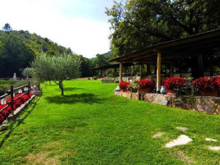 La Ginestra
