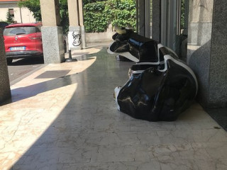 La Nuova Idea Del Gelato